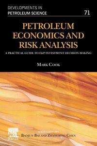 Produktbild: Petroleum Economics and Risk Analysis