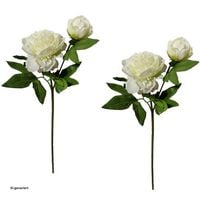 Produktbild: HTI-Living Pfingstrose 2er Set Wei&szlig; Flora Pfingstrose 2er Set Wei&szlig; Flora