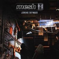 Bild vom Artikel Looking Skyward vom Autor Mesh