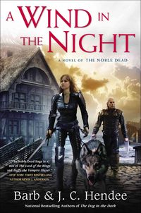 Produktbild: Wind in The Night
