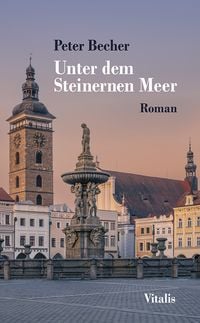 Produktbild: Unter dem Steinernen Meer