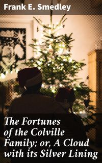 Produktbild: The Fortunes of the Colville Family; or, A Cloud with its Silver Lining