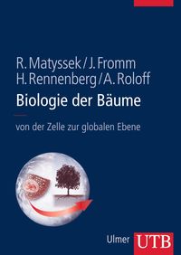 Biologie der Bäume von Rainer Matyssek