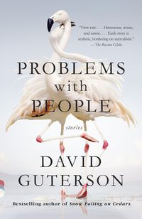 Bild vom Artikel Problems with People vom Autor David Guterson