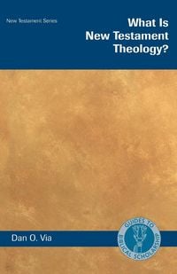 Produktbild: What Is New Testament Theology?