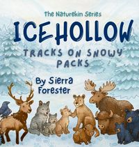 Produktbild: Icehollow