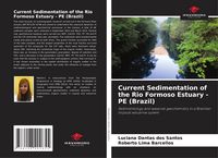 Produktbild: Current Sedimentation of the Rio Formoso Estuary - PE (Brazil)