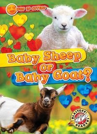Produktbild: Baby Sheep or Baby Goat?