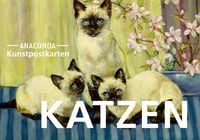 Produktbild: Postkarten-Set Katzen