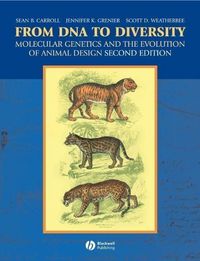Produktbild: From DNA to Diversity