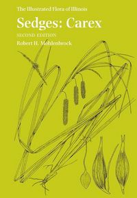 Produktbild: Mohlenbrock, R:  Sedges