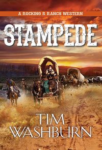 Produktbild: Washburn, T: Stampede