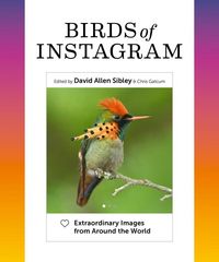 Produktbild: Birds of Instagram