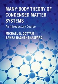 Produktbild: Many-Body Theory of Condensed Matter Systems