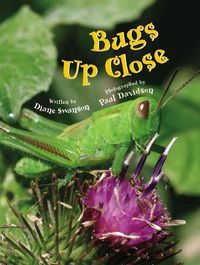 Produktbild: Bugs Up Close