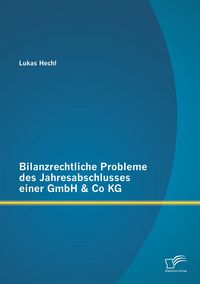 Produktbild: Bilanzrechtliche Probleme des Jahresabschlusses einer GmbH & Co KG