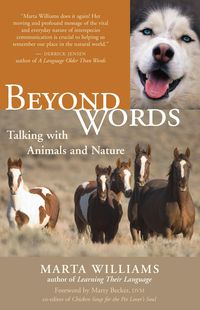 Produktbild: Beyond Words