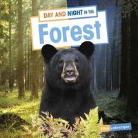 Produktbild: Day and Night in the Forest
