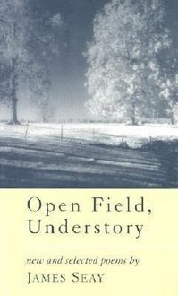 Produktbild: Open Field, Understory