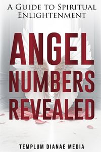 Produktbild: Angel Numbers Revealed