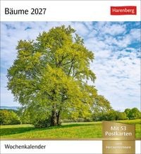 Produktbild: B&auml;ume Postkartenkalender 2027 - Wochenkalender mit 53 Postkarten