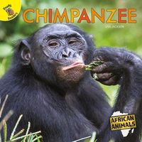 Bild vom Artikel Chimpanzee vom Autor Lisa Jackson