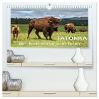 Produktbild: TATONKA Der nordamerikanische Bison (hochwertiger Premium Wandkalender 2026 DIN A2 quer), Kunstdruck in Hochglanz