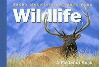 Produktbild: Rocky Mountain National Park Wildlife: A Postcard Book