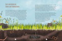 Die Wildwiese
