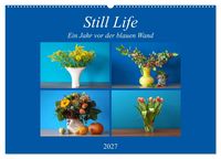 Produktbild: Still Life - Blumen vor der blauen Wand (Wandkalender 2027 DIN A2 quer), CALVENDO Monatskalender