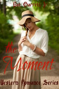 Produktbild: The Moment - Western Romance Series