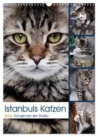 Produktbild: Istanbuls Katzen (Wandkalender 2026 DIN A3 hoch), CALVENDO Monatskalender
