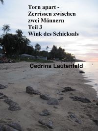 Produktbild: Torn apart - Zerrissen zwischen zwei M&auml;nnern
