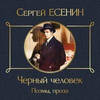 Produktbild: Chernyy chelovek. Poemy, proza