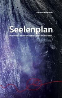 Produktbild: Seelenplan