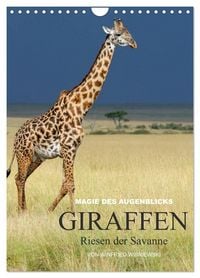 Produktbild: Magie des Augenblicks - Giraffen - Riesen der Savanne (Wandkalender 2027 DIN A4 hoch), CALVENDO Monatskalender