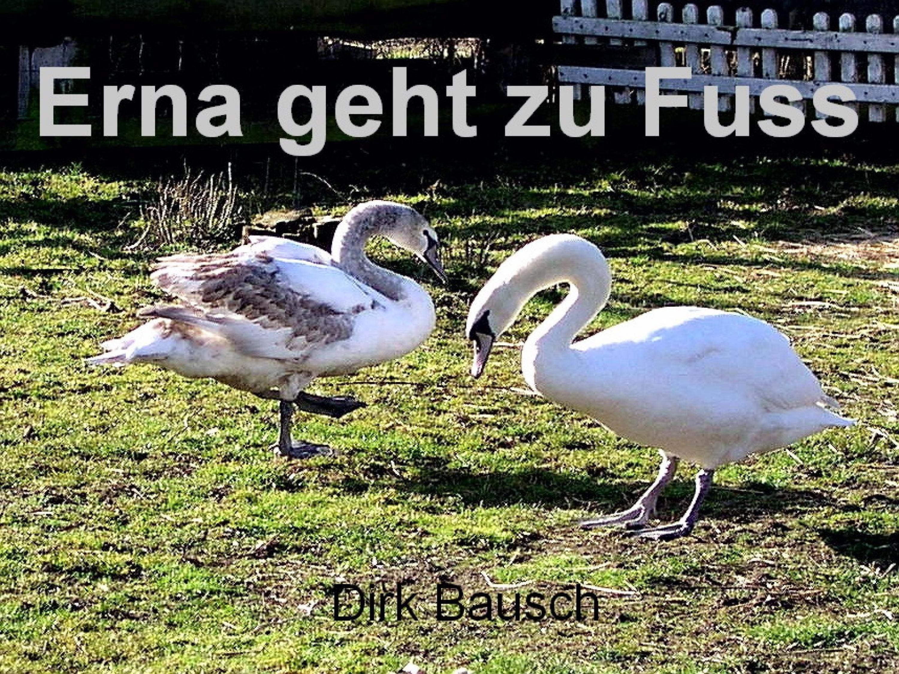 Produktbild: Erna geht zu Fuss