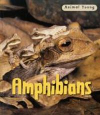 Produktbild: Amphibians
