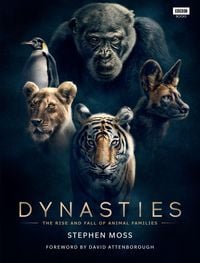 Produktbild: Dynasties