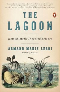 Produktbild: The Lagoon
