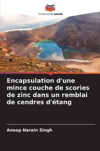 Produktbild: Encapsulation d'une mince couche de scories de zinc dans un remblai de cendres d'&eacute;tang