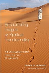 Produktbild: Encountering Images of Spiritual Transformation