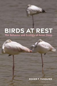 Produktbild: Birds at Rest