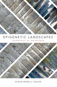 Produktbild: Epigenetic Landscapes