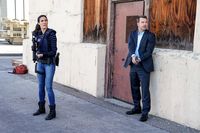 NCIS Los Angeles - Season 9  [6 DVDs]