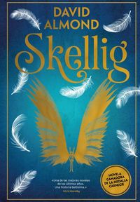 Produktbild: Skellig