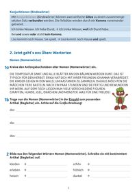 Übungsheft Fit zum Übertritt - Tests in Deutsch 4. Klasse