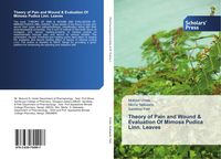 Produktbild: Theory of Pain and Wound & Evaluation Of Mimosa Pudica Linn. Leaves