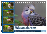 Produktbild: Wellensittichtr&auml;ume - Der neue Wellensittich-Naturkalender (Tischkalender 2026 DIN A5 quer), CALVENDO Monatskalender