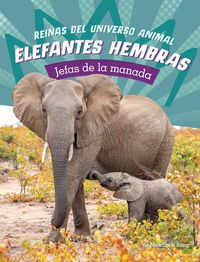 Produktbild: Elefantes Hembras: Jefas de la Manada (Elephant Cows: Heads of the Herd)